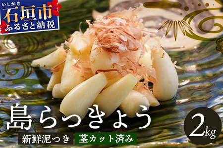 �Ί_���Y ��������傤 2000g ��2026�N4�������\�聄 | ���� �Ί_ ��� ������傤 ��������傤 2kg �Y�n���� SI-102