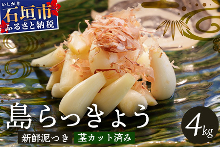 �Ί_���Y ��������傤 4000g ��2026�N4�������\�聄 | ���� �Ί_ ��� ������傤 ��������傤 4kg �Y�n���� SI-103