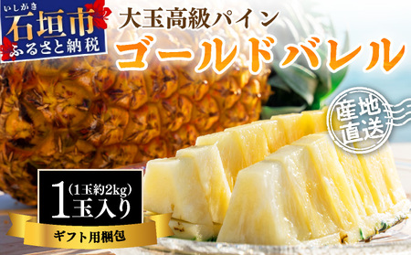 【先行予約】石垣島産 ゴールドバレル１玉 約2.0kg ギフト用梱包《2025年夏季 順次発送》【 ギフト 贈り物 産地直送 沖縄 石垣 フルーツ パイナップル パイン ゴールドバレルパイン 】SI-127-1