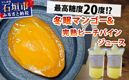 [8月以降順次発送]最高糖度20度!?冬眠マンゴーと完熟ピーチパインジュース