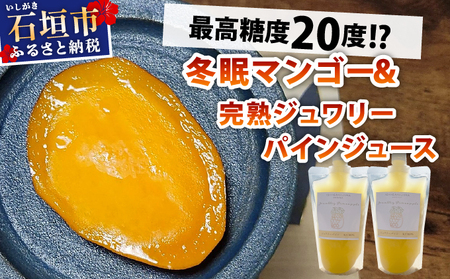 [8月以降順次発送]最高糖度20度!?冬眠マンゴーと完熟ジュワリーパインジュース