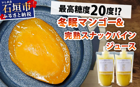 [8月以降順次発送]最高糖度20度!?冬眠マンゴーと完熟スナックパインジュース