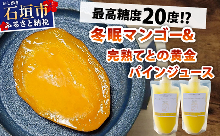 [8月以降順次発送]最高糖度20度!?冬眠マンゴーと完熟てとの黄金パインジュース
