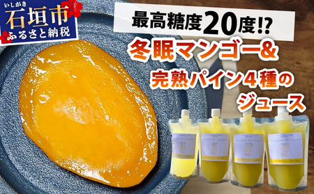 [8月以降順次発送]最高糖度20度!?冬眠マンゴーと完熟パイン4種のジュース