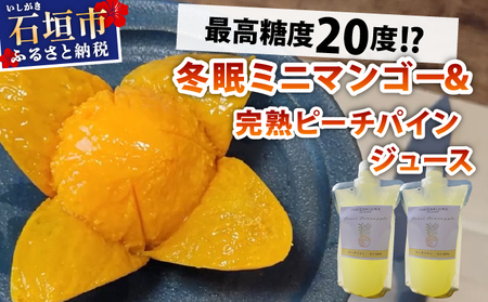 [8月以降順次発送]最高糖度20度!?冬眠ミニマンゴーと完熟ピーチパインジュース