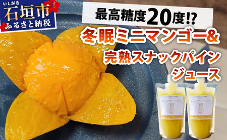 [8月以降順次発送]最高糖度20度!?冬眠ミニマンゴーと完熟スナックパインジュース