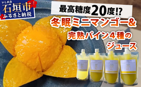 [8月以降順次発送]最高糖度20度!?冬眠ミニマンゴーと完熟パイン4種のジュース よくばり詰め合わせ