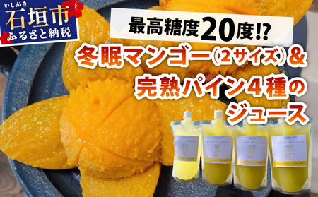 最高糖度20度!?冬眠マンゴー、ミニマンゴーと完熟パイン4種のジュース