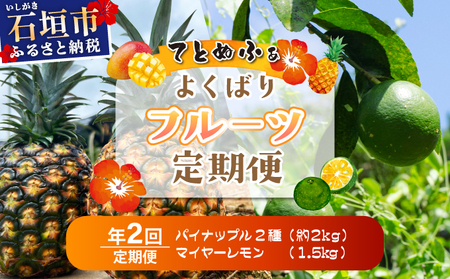 《年２回発送》島のおいしいを贅沢に！パイナップル2種食べ比べと青切りマイヤーレモンのよくばり定期便！