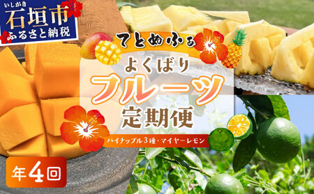 《年4回発送》パイナップル好きにおすすめ！大満足のパイナップル３品種＆マイヤーレモン定期便