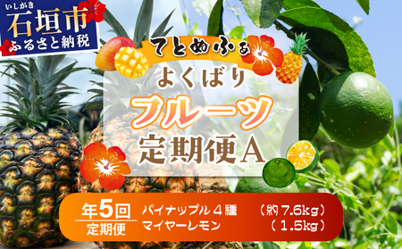 《年5回発送》パイナップル好きにおすすめ！大満足のパイナップル4品種＆マイヤーレモン定期便