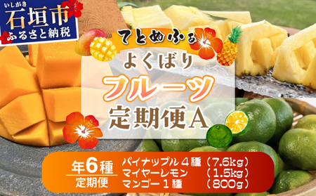 《年6回発送》島のおいしいを贅沢に！大満足のパイナップル4種とマンゴー、マイヤーレモンの定期便