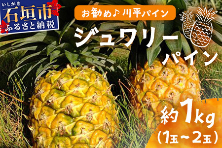 [予約受付]ジュワリーパイン1kg(1〜2玉)お勧め♪川平パイン[2025年7月〜8月頃順次発送]KN-1