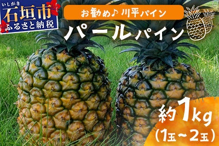 [先行予約]パールパイン1kg(1〜2玉)お勧め♪川平パイン[2025年7月〜8月頃順次発送]KN-2