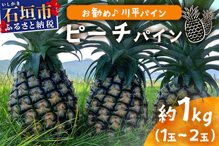 [予約受付]ピーチパイン1kg(1〜2玉)お勧め♪川平パイン[2025年5月〜11月頃順次発送]KN-4