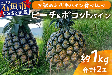 [予約受付]ピーチ&ポコットパイン食べ比べ 1kg(計2玉)お勧め♪川平パイン[2025年5月〜10月頃順次発送]KN-5