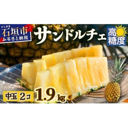 [先行予約]石垣島産 中玉サンドルチェ2玉 合計約1.9kg