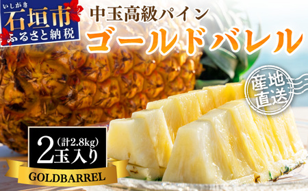 [先行予約]石垣島産 中玉ゴールドバレル2玉 合計約2.8kg[2025年夏季 順次発送][ 沖縄 石垣 パイン パイナップル フルーツ くだもの 果物 産地直送 ] 