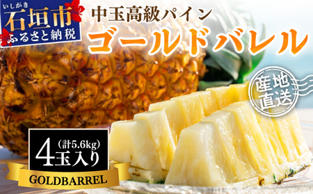 �y��s�\��z�Ί_���Y ���ʃS�[���h�o���� 4�� ���v��5.6kg�s2026�N7���ȍ~�����t�y ���� �Ί_ �p�C�� �p�C�i�b�v�� �t���[�c �������� �ʕ� �Y�n���� �zSI-115