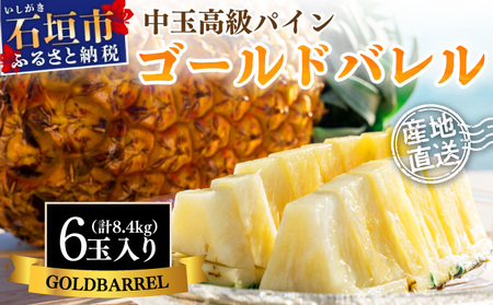 �y��s�\��z�Ί_���Y ���ʃS�[���h�o���� 6�� ���v��8.4kg�s2026�N7���ȍ~�����t�y ���� �Ί_ �p�C�� �p�C�i�b�v�� �t���[�c �������� �ʕ� �Y�n���� �zSI-116