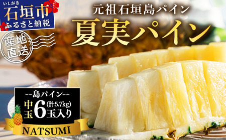 �y��s�\��z�Ί_���Y ���� �Ď��p�C���i���p�C���j�U�� ���v��5.7kg�s2026�N7�����{�����t�y �Y�n���� ���� �Ί_ �t���[�c �p�C�i�b�v�� �p�C�� �n���C �Ď��p�C�� �zSI-126