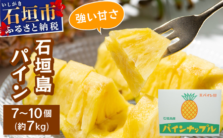石垣島パイン 7~10個 約7kg ハワイ種 【6月中旬頃より順次発送予定】