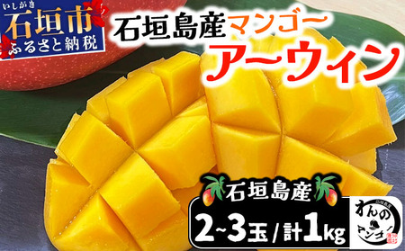 �����̃}���S�[���Ί_���Y�}���S�[ �A�[�E�B���� ���v1kg ��2026�N4���ȍ~�������b�Y�n���� ���� �Ί_�� �}���S�[ �A�[�E�B�� �}���S�[ �t���[�c ���� NA-03