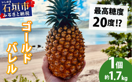 [先行予約2026年5月下旬ころから順次発送]最高糖度20度!?石垣島産完熟ゴールドバレル 1玉 約1.7kg