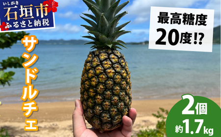 [先行予約2026年6月下旬頃から順次発送]最高糖度20度!?クリーミーな味わいが魅力の石垣島産完熟サンドルチェ 2個セット