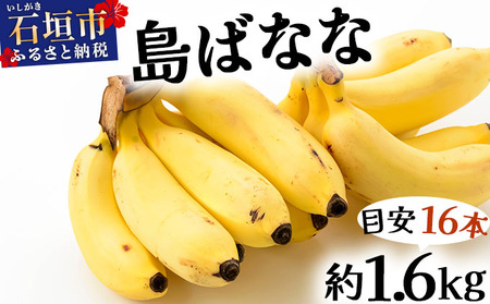 《６月以降発送》バナナ好きに届けたい!!届いてすぐ食べられる、もっちり食感がやみつきの希少な国産「プレミアム島ばなな』を大容量でお届け!! 