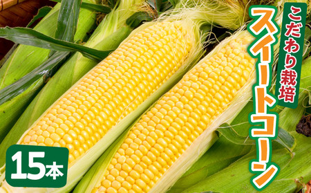 ys\2025N12-2026N4z 1Ԓx1ԑ_ ̂v~AXC[gR[t̂܂15{͂!!