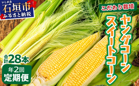 [先行予約2025年1月-5月配送]1番遅くて1番早い_ プレミアムヤングコーンとスイートコーンのよくばり定期便!!朝採れを皮付きのままお届け!!