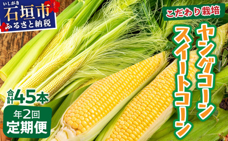 ys\2025N1-5zz1Ԓx1ԑ_ v~AOR[ƃXC[gR[̂悭΂!!̂t̂܂܂͂!!