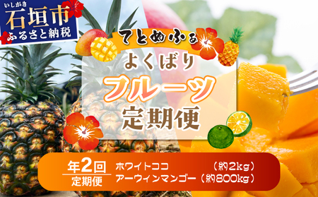 《2026年6月以降発送》マツコの知らない世界で紹介！幻のホワイトココ＆最高糖度20度_完熟マンゴーの定期便年２回に分けてお送りします