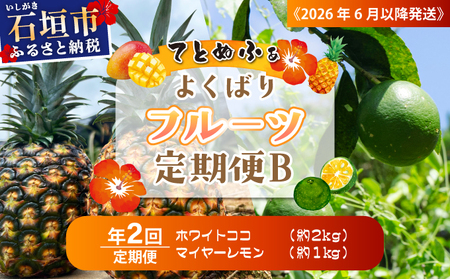 [2026年6月以降発送]マツコの知らない世界で紹介!幻のホワイトココ&青切りマイヤーレモンの定期便 年2回に分けてお送りします