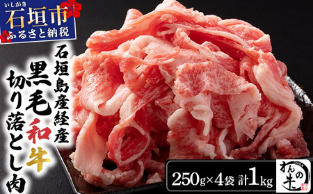 ̋Ί_YoYјa ؂藎Ƃ 250g×4  v 1kg