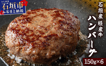 [2025年10月発送]石垣産経産牛ハンバーグ150g×6/箱
