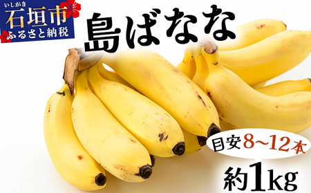 [先行予約 2026年5〜10月順次発送]バナナ好きに届けたい!!完全無農薬栽培 もっちり食感がやみつきの希少な国産『プレミアム島ばなな』贅沢に1房丸ごと約1kgお届け!!