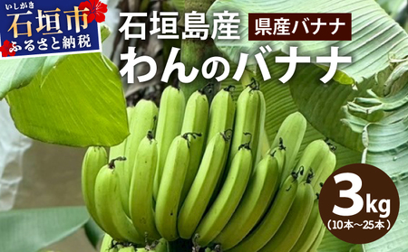 [わんのバナナ]石垣島産バナナ[沖縄県産バナナ] 合計約3kg