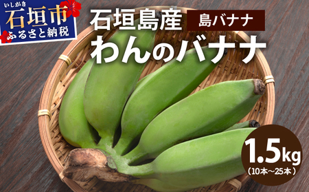 [わんのバナナ]石垣島産バナナ[島バナナ] 合計約1.5kg