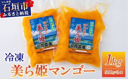 冷凍美ら姫マンゴー 1kg(500g×2袋)CB-3