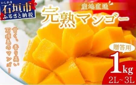 [2026年6月末から順次発送]2L〜3L マンゴー2〜3玉(約1kg) [ 産地直送 旬 フルーツ 新鮮 完熟 マンゴー 石垣 沖縄 ]KP-24