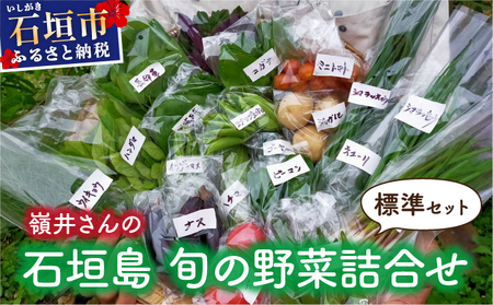 嶺井さんの石垣島旬の野菜詰合せ(標準セット)OI-22