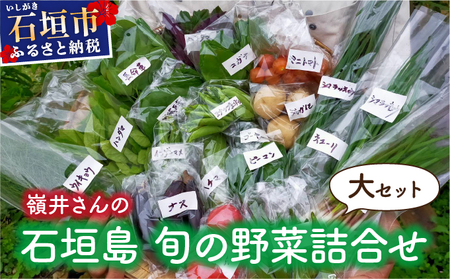 嶺井さんの石垣島旬の野菜詰合せ(大セット)OI-23