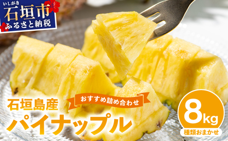 【訳あり】 石垣島産 パイナップル 詰め合わせ 約8kg (6～20個)《2026年5月から順次発送》 KP-16