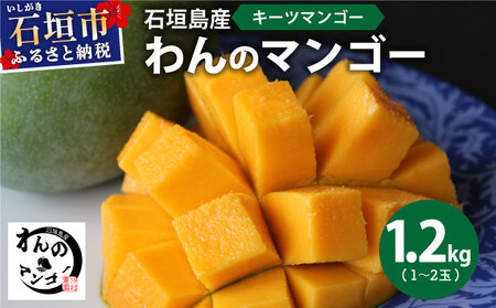 ＜わんのマンゴー＞石垣島産マンゴー【キーツ】約1.2kg前後（1〜2玉）