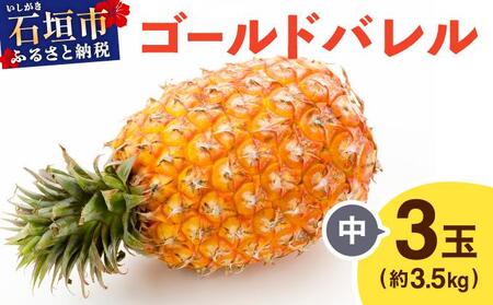 ≪5月上旬順次発送≫ゴールドバレル 中 3玉（約3.5kg） TP-16