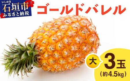 ≪5月上旬順次発送≫ゴールドバレル 大 3玉（約4.5kg） TP-17