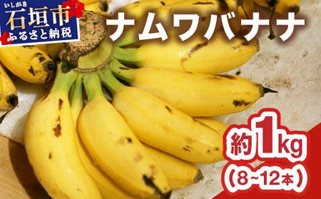 ≪2026年4〜10月順次発送≫ 石垣島産 希少な国産『ナムワバナナ』を贅沢に1房丸ごと約1kg(8-12本)&nbsp;| 沖縄 石垣 バナナ フルーツ 果物 南国フルーツ 国産 TF-101_R8