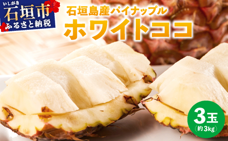 ≪6月上旬順次発送≫ 石垣島産パイナップル ホワイトココ 3玉(約3kg)TP-13